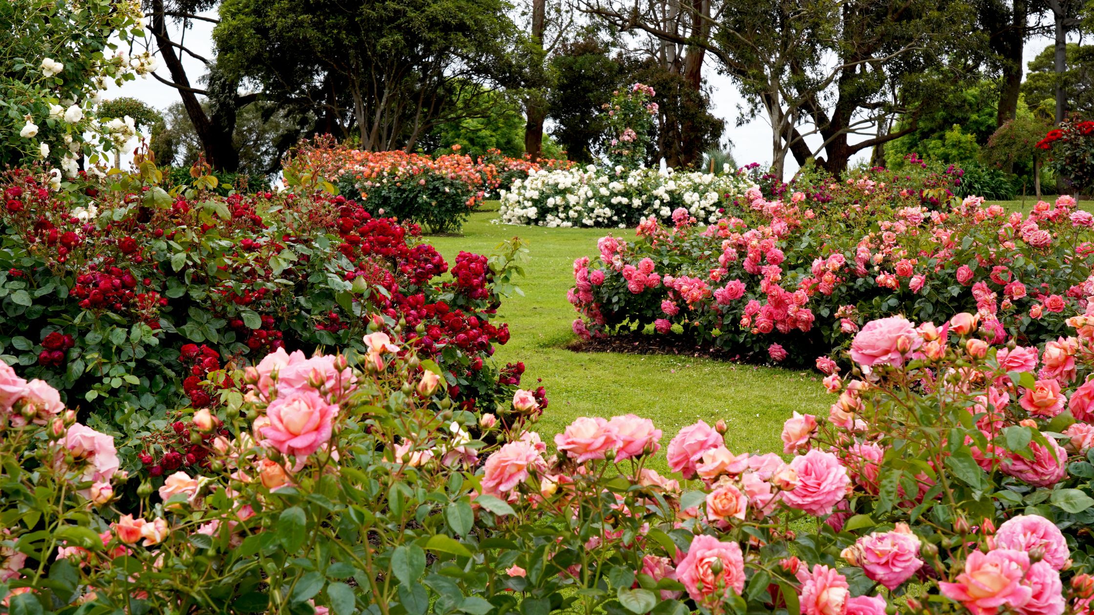 Diseño de jardines en León