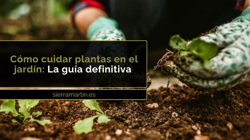 cuidar plantas en el jardín