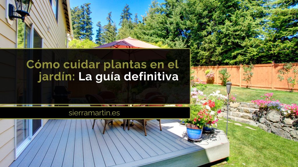 como cuidar plantas en el jardin