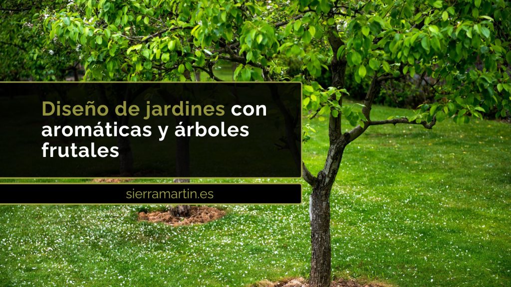 diseño de jardines con aromáticas