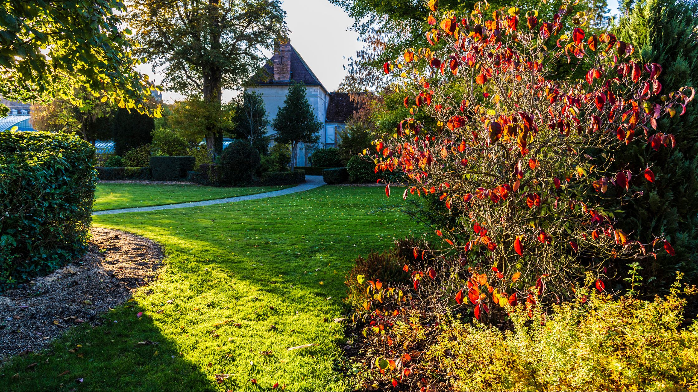 Diseño de jardines con aromáticas